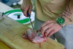 Jméno souboru : DSC_3613_upn.jpg
Velikost souboru : 666KB
Rozměry : 1920x1282
Datum přidání : Srpen 01, 2026 DSC_3613_upn.jpg