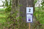 DSC_0546_upn.JPG