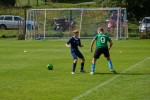 DSC_4904_upn.jpg