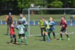 DSC_1664_upn.JPG