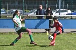 DSC_1740_upn.JPG