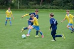 DSC_5109_upn.jpg