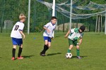 DSC_5519_upn.JPG