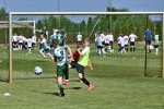 DSC_5798_upn.JPG