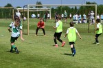 DSC_5887_upn.JPG