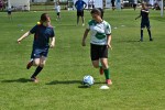 DSC_5923_upn.JPG