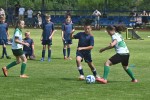 DSC_6010_upn.JPG