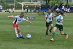 DSC_6168_upn.JPG