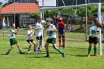 DSC_6293_upn.JPG