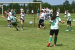 DSC_6348_upn.JPG
