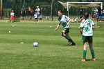DSC_6383_upn.JPG