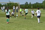 DSC_6388_upn.JPG