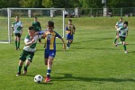 DSC_3432_upn.JPG