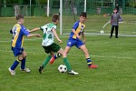 DSC_3481_upn.JPG