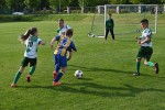DSC_3505_upn.JPG