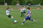 DSC_3700_upn.JPG