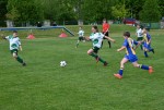 DSC_3868_upn.JPG