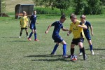 DSC_6688_upn.JPG