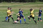 DSC_6695_upn.JPG