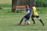 DSC_6791_upn.JPG