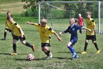 DSC_7020_upn.JPG