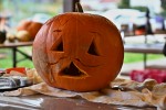 DSC_6044_upn.JPG