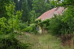 DSC_8377_upn.JPG