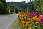 DSC_8393_upn.JPG