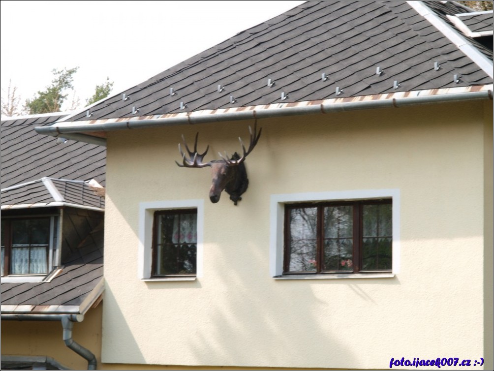 Klikněte pro zobrazení původního obrázku