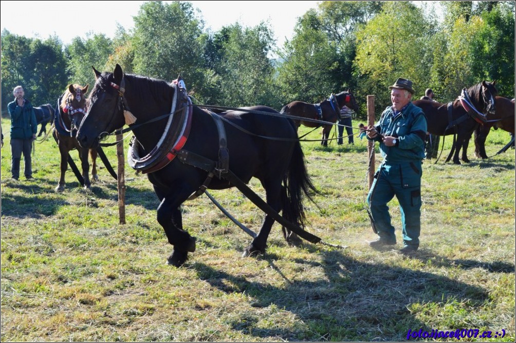 Klikněte pro zobrazení původního obrázku