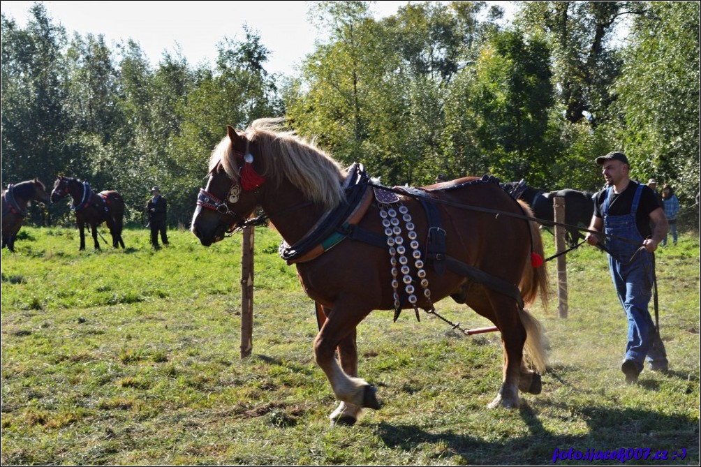 Klikněte pro zobrazení původního obrázku