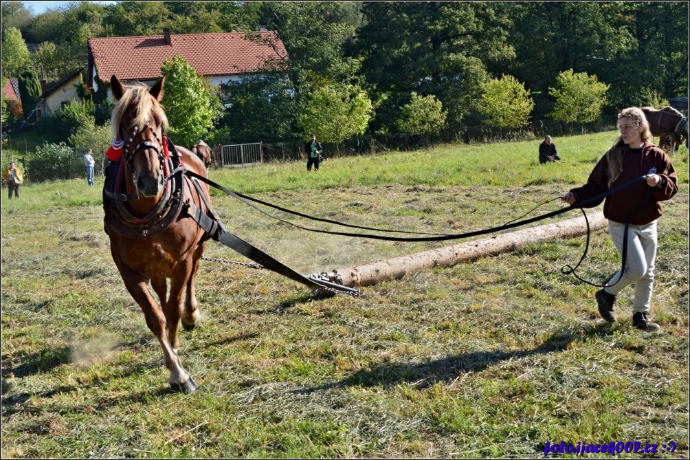 Klikněte pro zobrazení původního obrázku