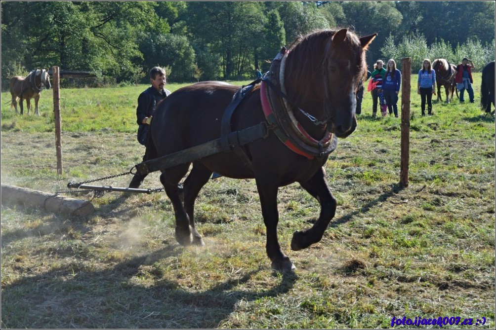 Klikněte pro zobrazení původního obrázku