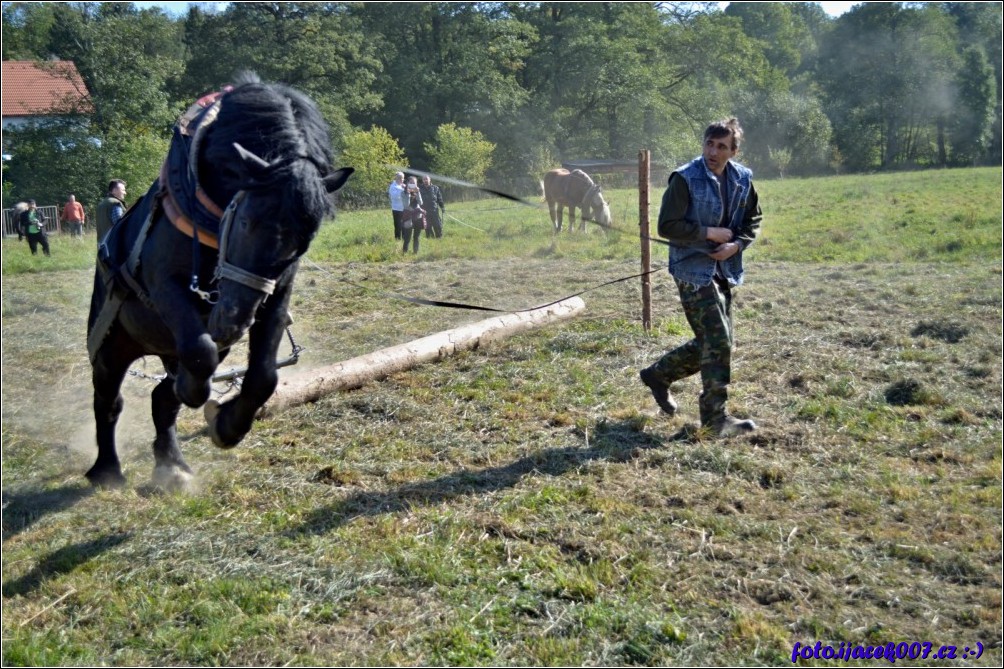 Klikněte pro zobrazení původního obrázku