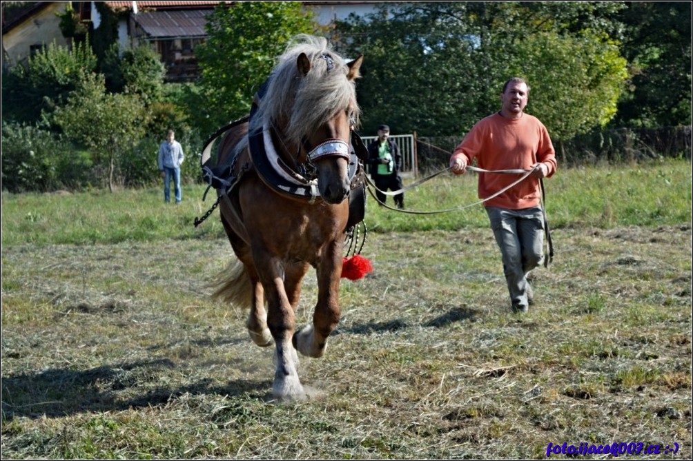 Klikněte pro zobrazení původního obrázku