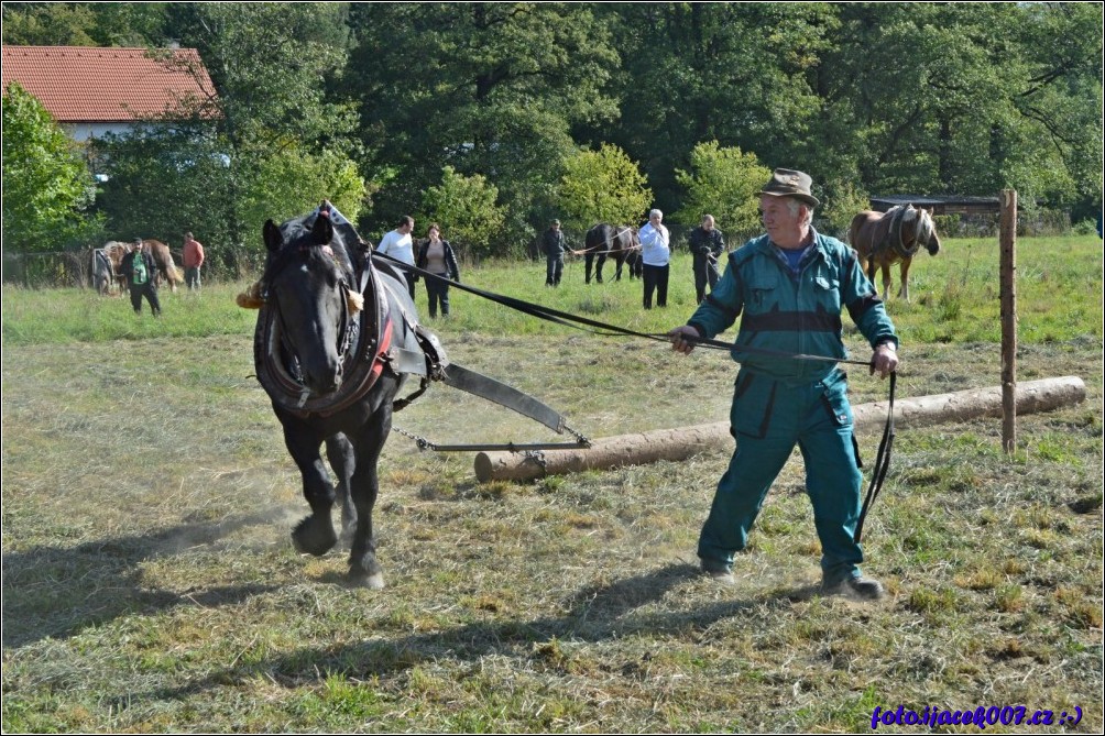 Klikněte pro zobrazení původního obrázku