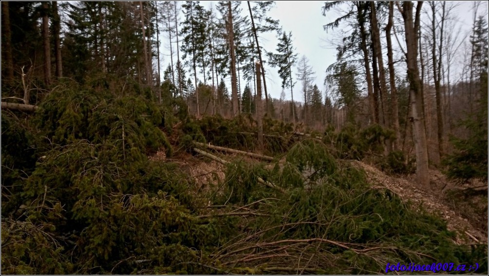 Klikněte pro zobrazení původního obrázku