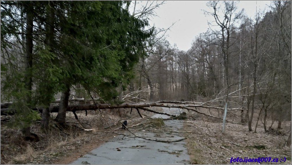 Klikněte pro zobrazení původního obrázku