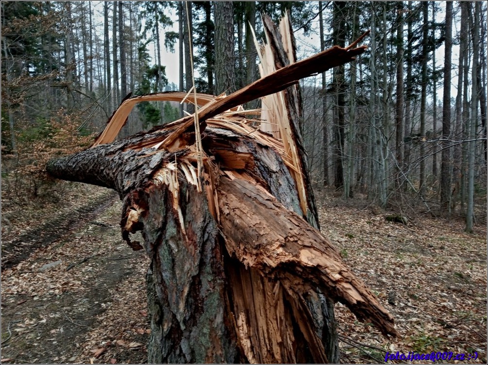 Klikněte pro zobrazení původního obrázku