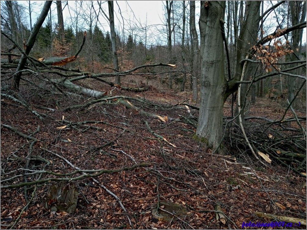 Klikněte pro zobrazení původního obrázku