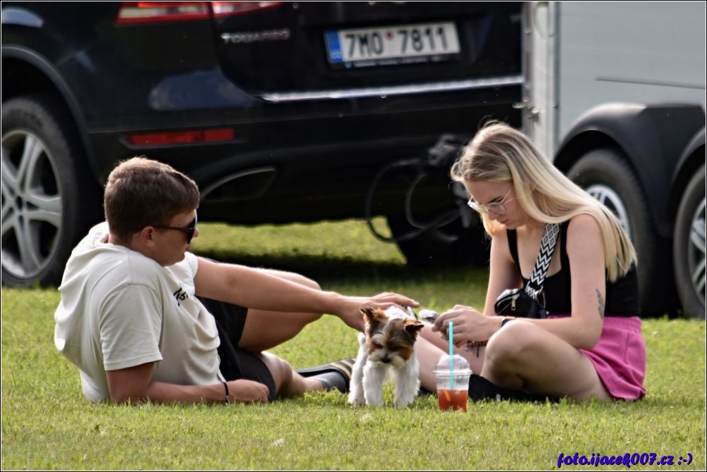 Klikněte pro zobrazení původního obrázku