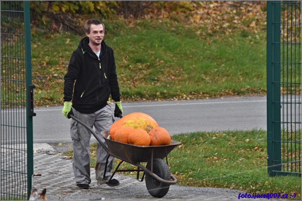 Klikněte pro zobrazení původního obrázku