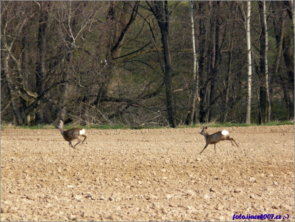 Klikněte pro zobrazení původního obrázku