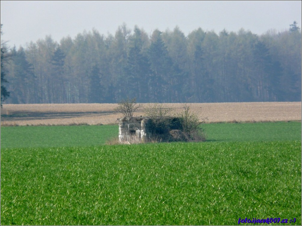 Klikněte pro zobrazení původního obrázku