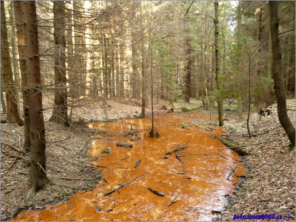 Klikněte pro zobrazení původního obrázku