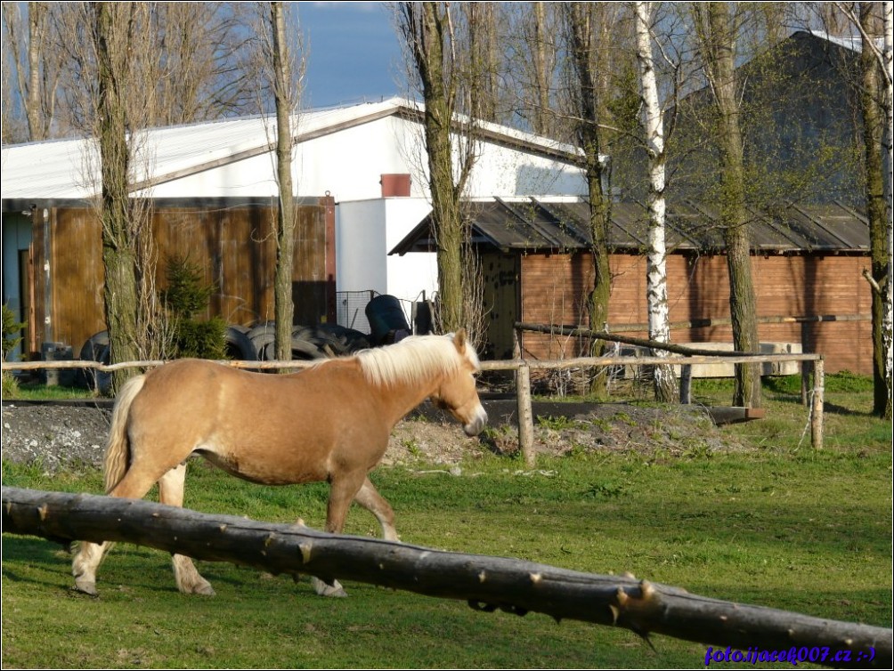 Klikněte pro zobrazení původního obrázku