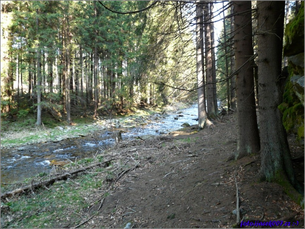 Klikněte pro zobrazení původního obrázku