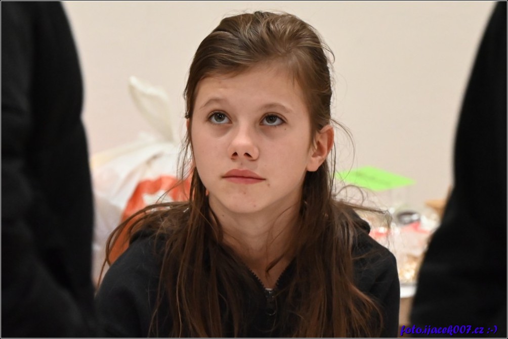 Klikněte pro zobrazení původního obrázku