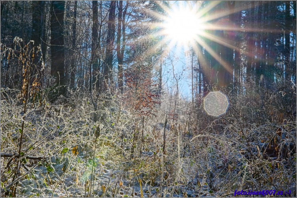 Klikněte pro zobrazení původního obrázku