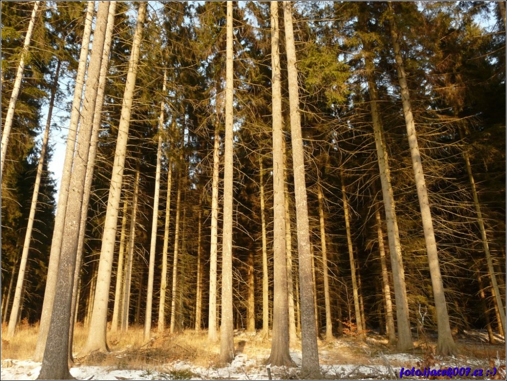 Klikněte pro zobrazení původního obrázku